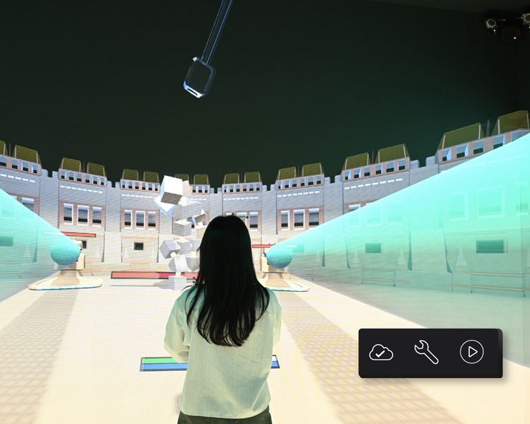 VR CAVE immersive environment visual